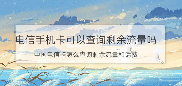 电信手机卡可以查询剩余流量吗 中国电信卡怎么查询剩余流量和话费？